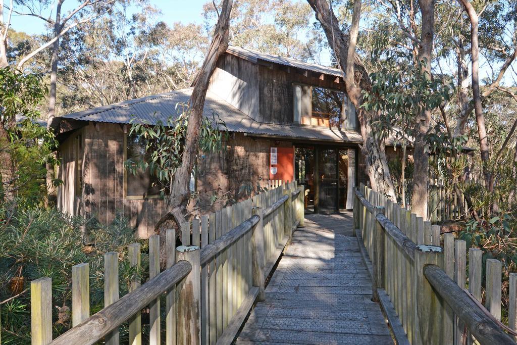 Jemby Rinjah Ecolodge Blackheath Cameră foto